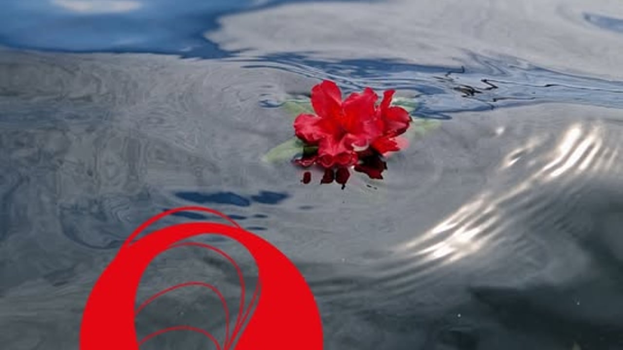 Opera-piknik: CARMEN