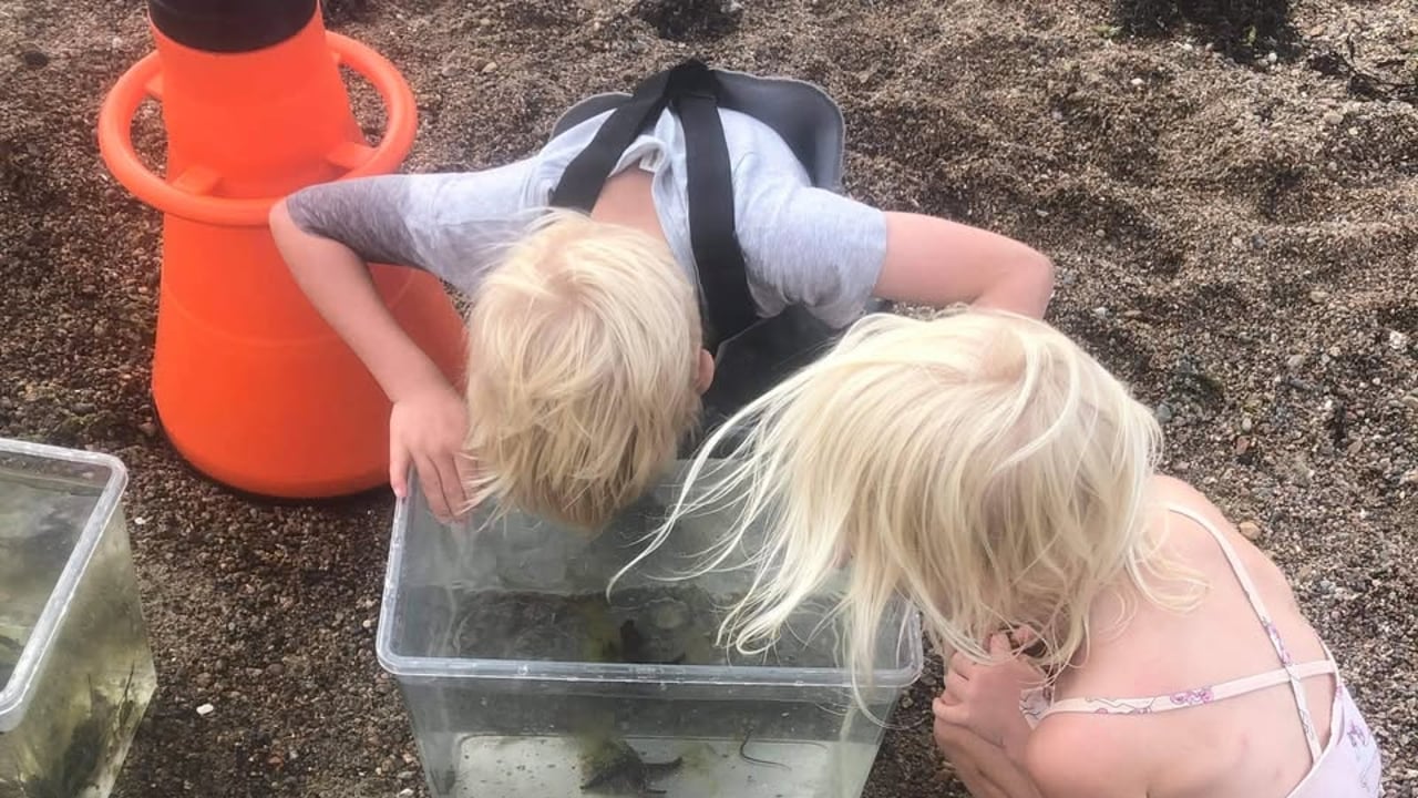 Undring i fjæra
