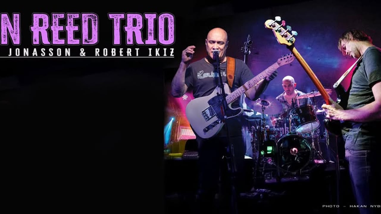 Dan Reed Trio (US)