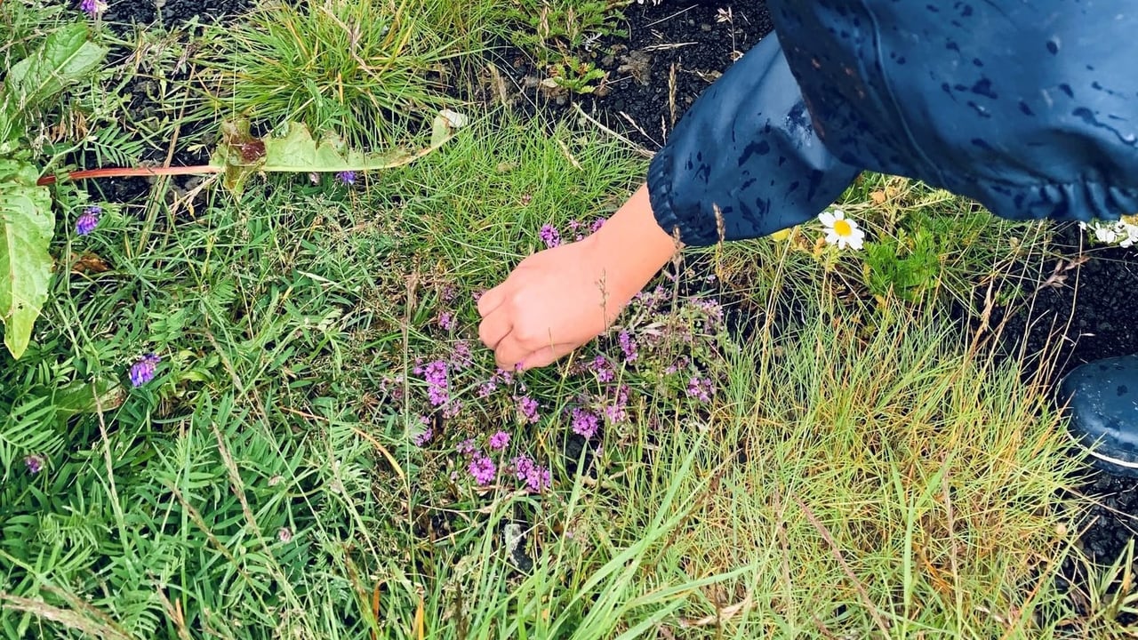 Jurtir, klaustur og börn - Fræðsluganga