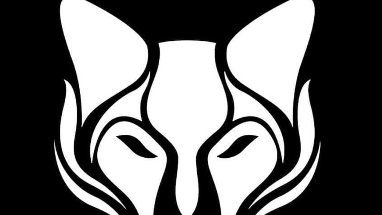 Velin Fox Duó