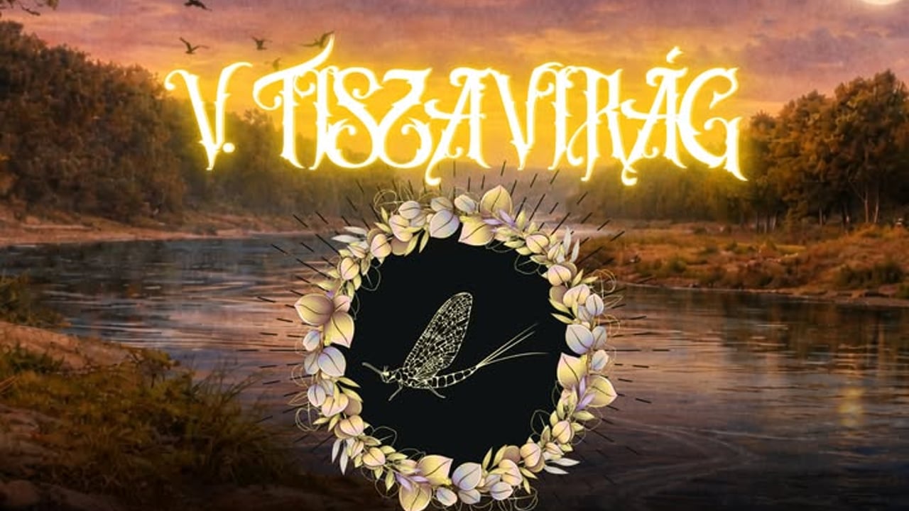 Tiszavirág Rock Találkozó