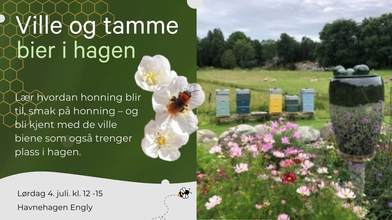 Ville og tamme bier i hagen