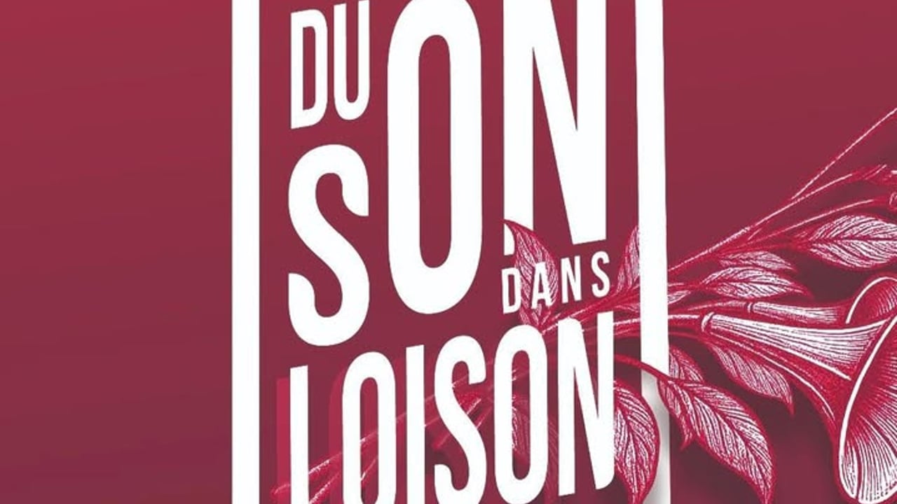 Festival - Du son dans Loison