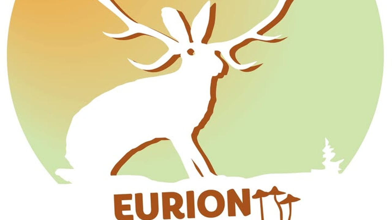Eurion