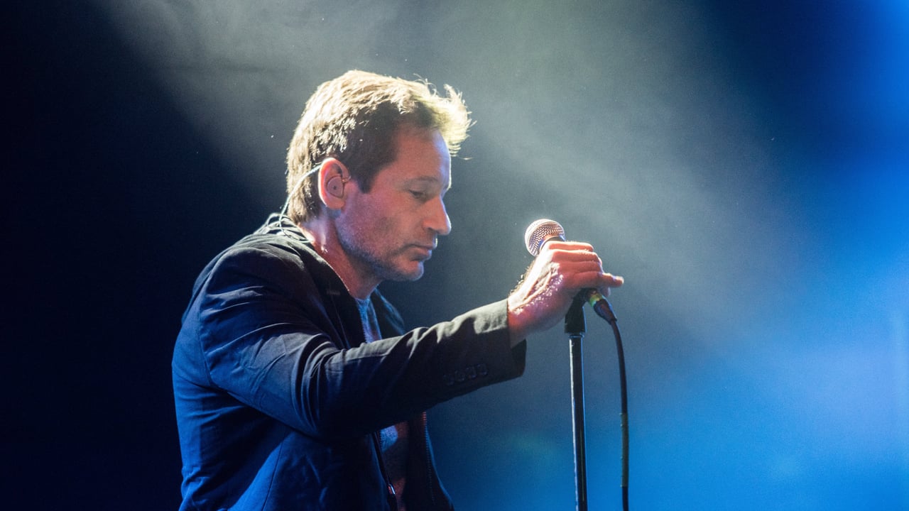 DAVID DUCHOVNY
