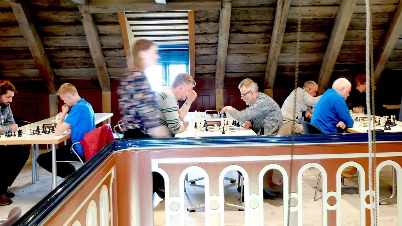 Viðeyjarmótið í skák