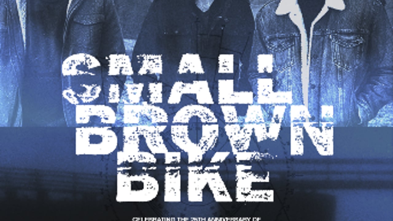Small Brown Bike