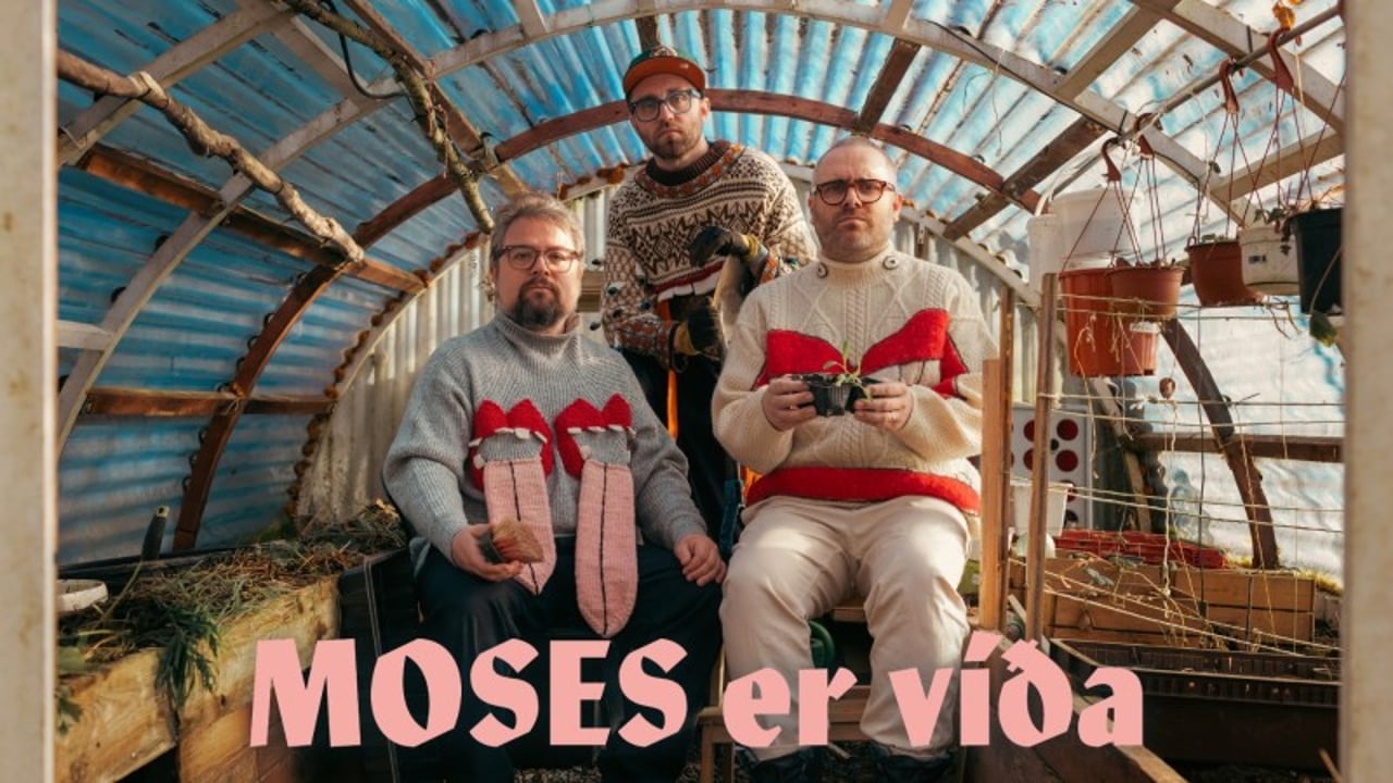 Moses er víða