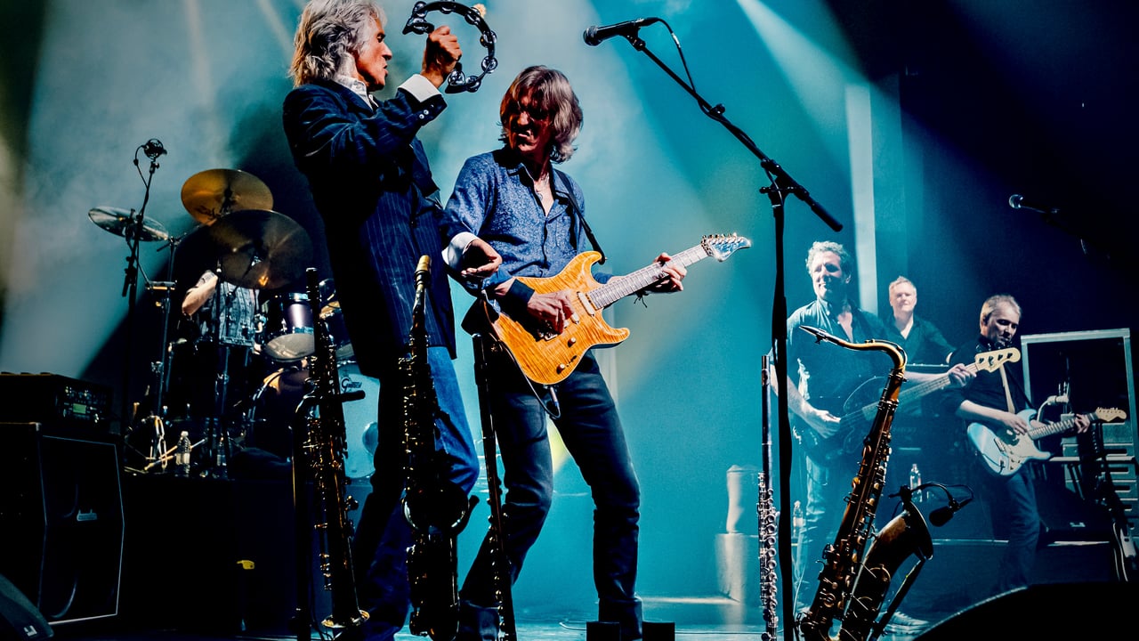 The Dire Straits Experience