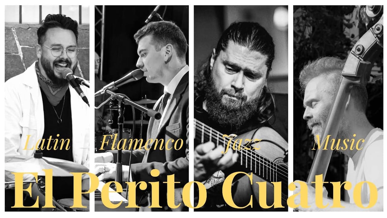 El Perito Cuatro (Picnic Sessions @ Frederiksberg Musikhus Metronomen)
