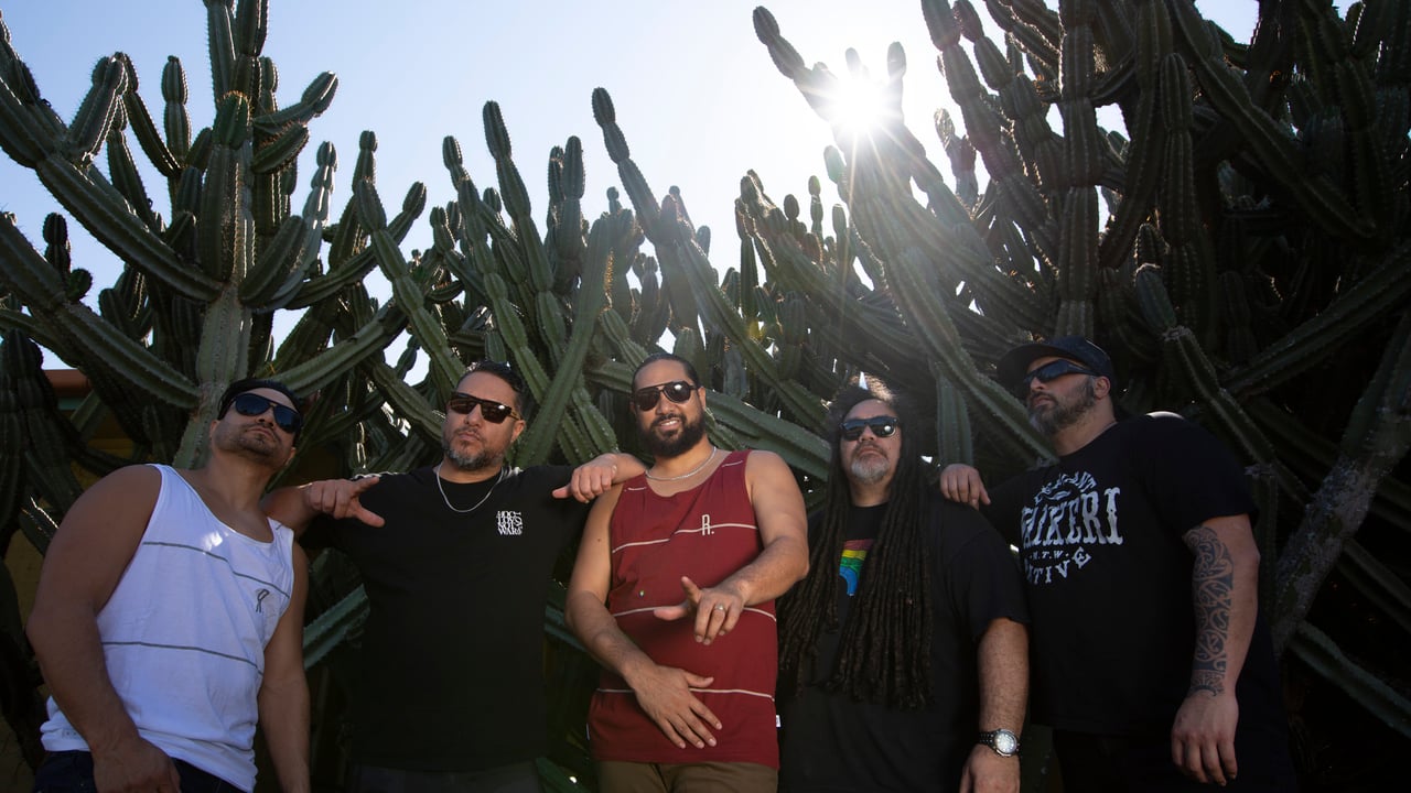 KATCHAFIRE