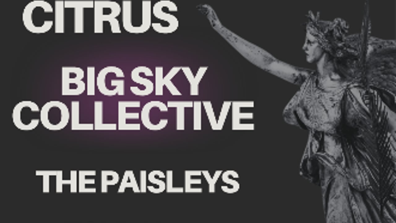 Big Sky Collective, Citrus, The Paisleys, Toldja