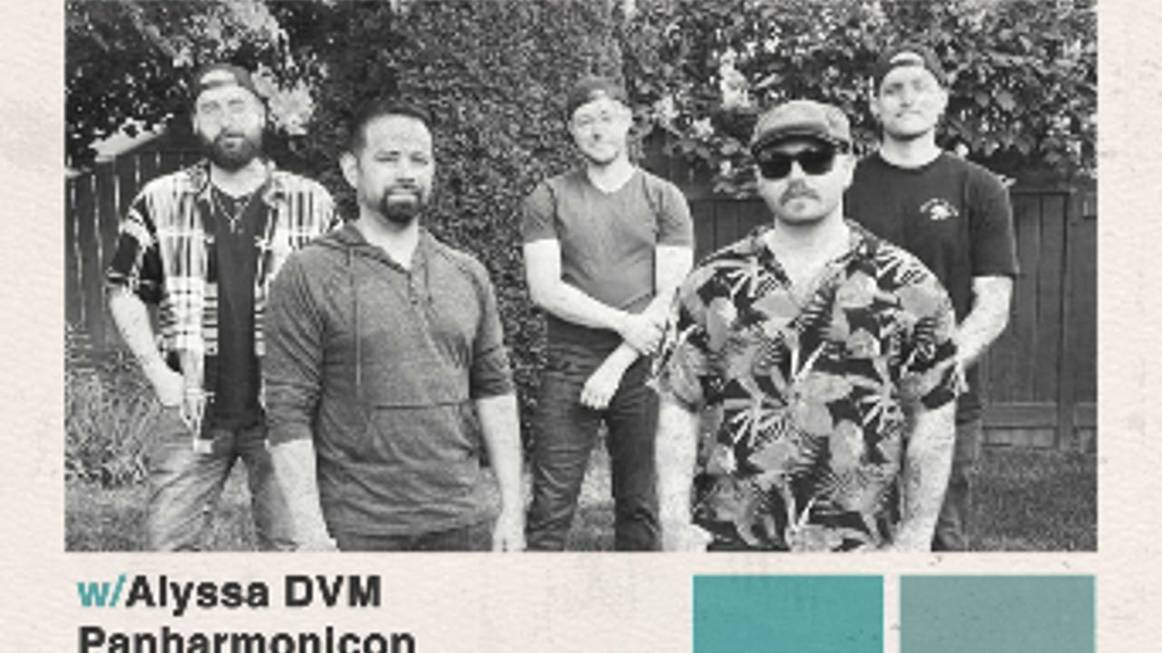 Laurentian Divide w/ Alyssa DVM, Panharmonicon & Punch The Camel