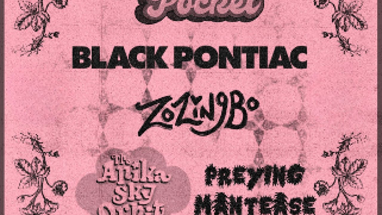 Holly Pocket, Black Pontiac, Zozingbo, The Anika Sky Orbit, Preying Mantease