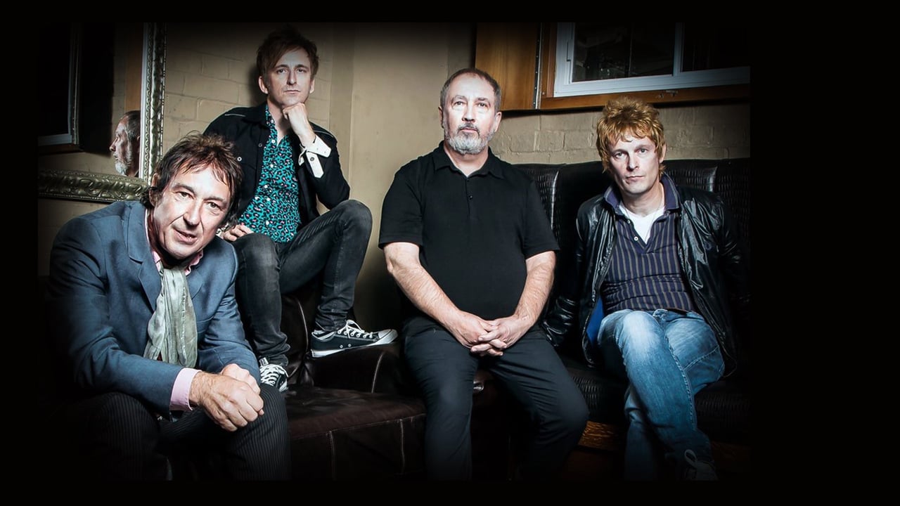 Buzzcocks - Celebrating 50 Years of Buzzcocks