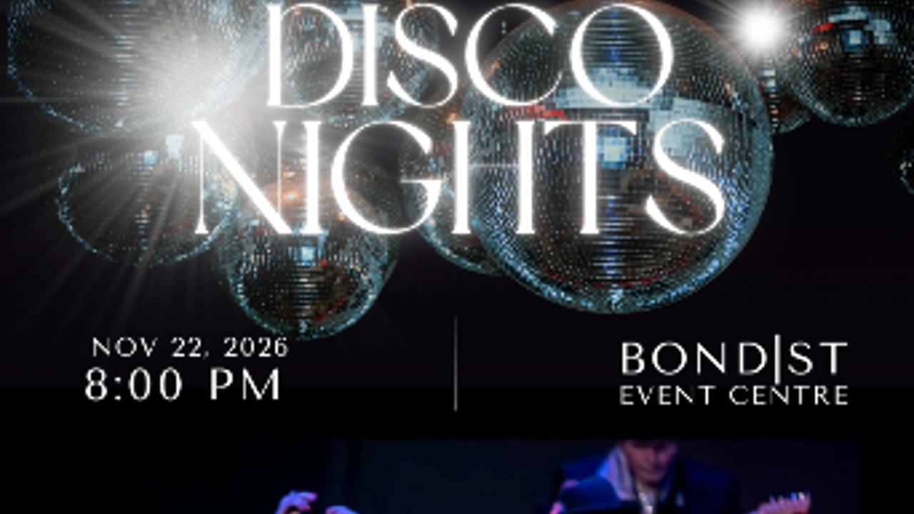 The Disco Nights