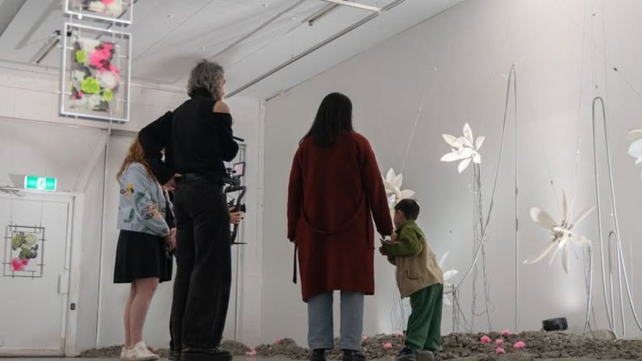 Primary Succession - Exhibition Tour