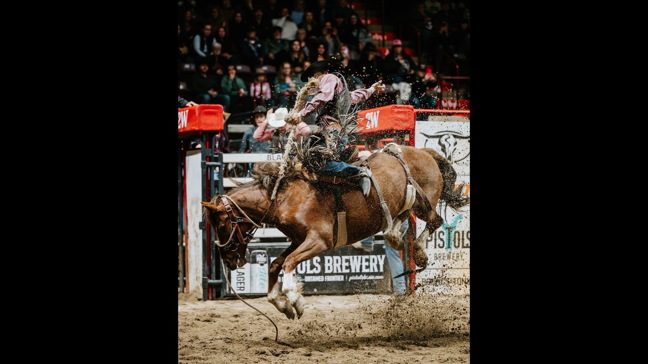 Moncton KIOTI Stampede