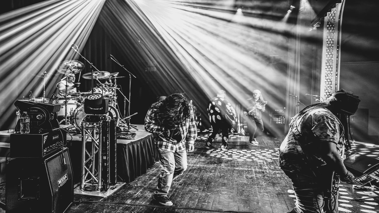 Disciple Of The Garden - Tribute To Chris Cornell, Soundgarden, Audios