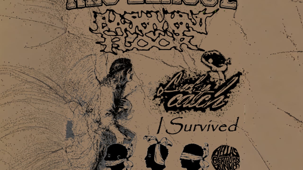 Rec League, Basement Floor, Lucky Catch, I Survived