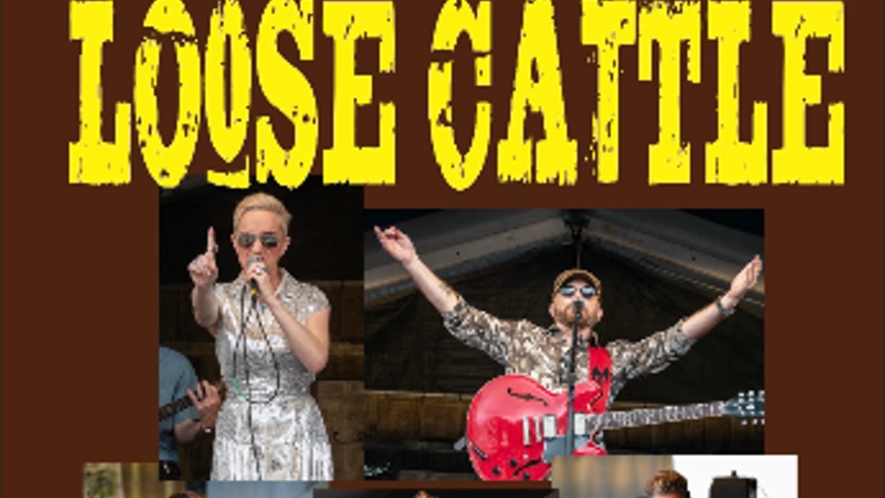 Loose Cattle  