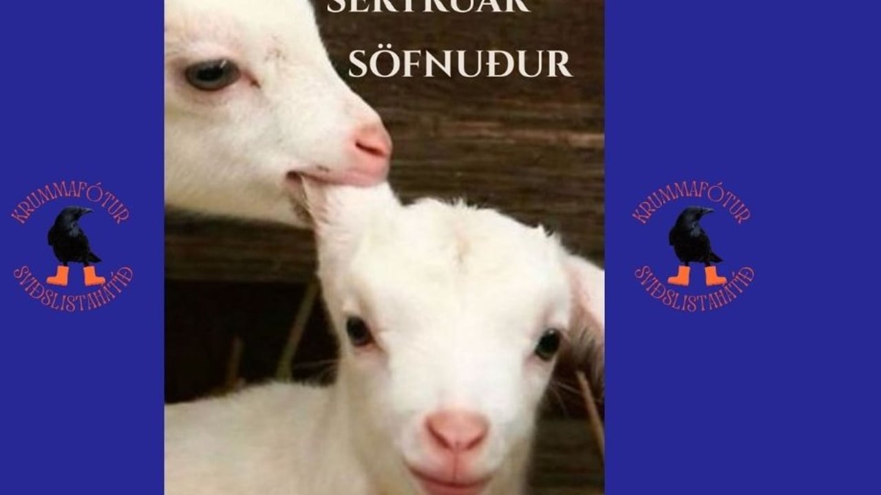 Systkinasértrúaðarsöfnuður - Krummafótur sviðslistahátíð