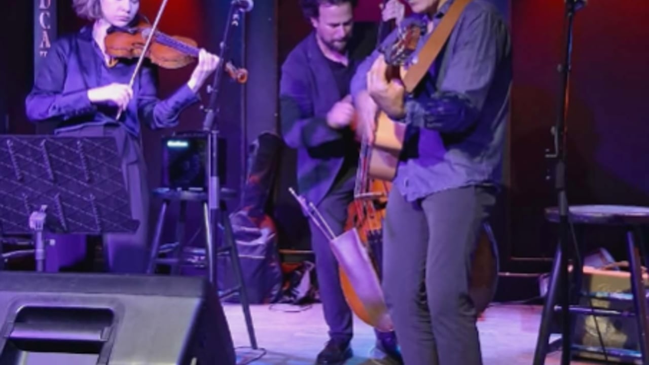 The 24th Annual Chicago Gypsy Jazz Fest