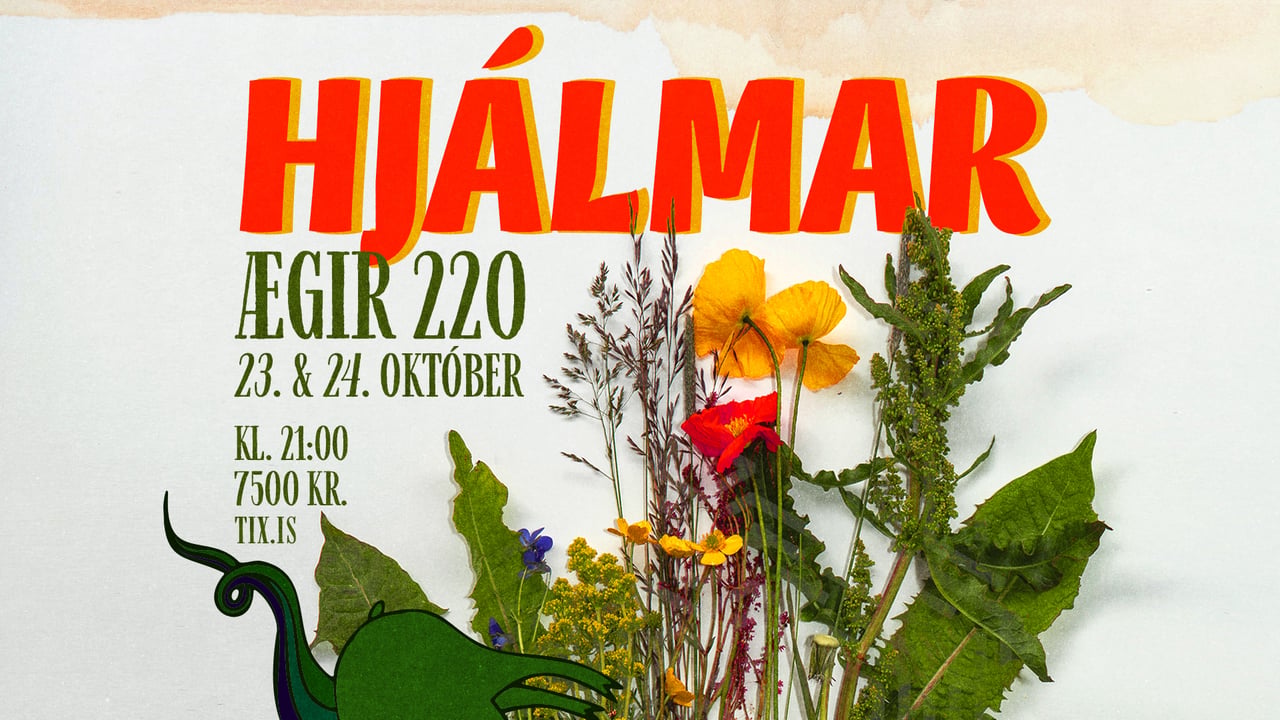Hjálmar á Ægi 220
