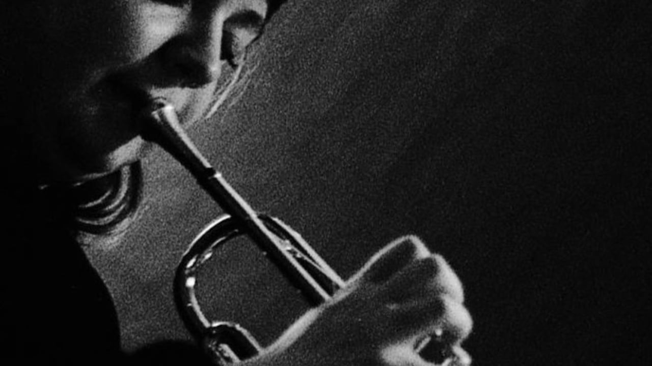 Alexandra Ridout Quartet