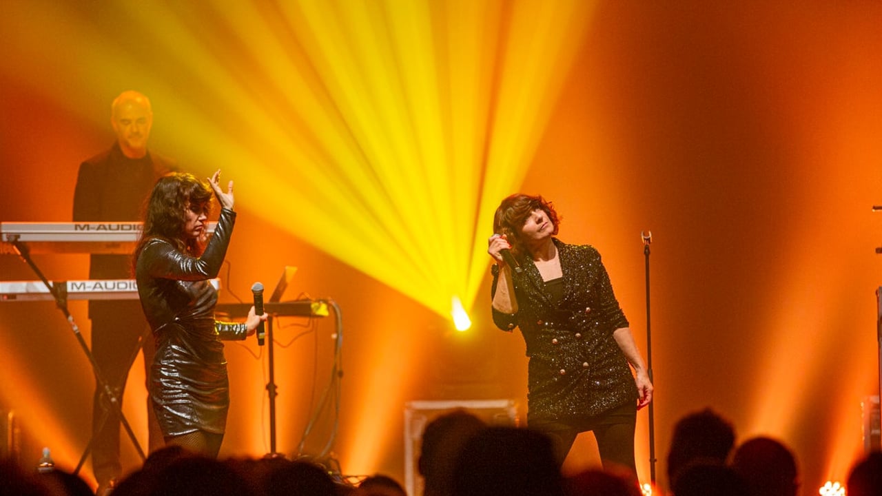 Nouvelle Vague "A Date with Depeche Mode", Hedone