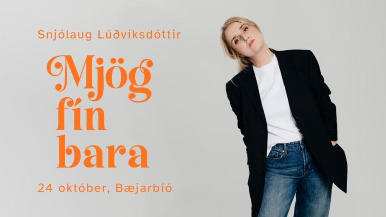 Mjög fín bara - Snjólaug Lúðvíksdóttir uppistand