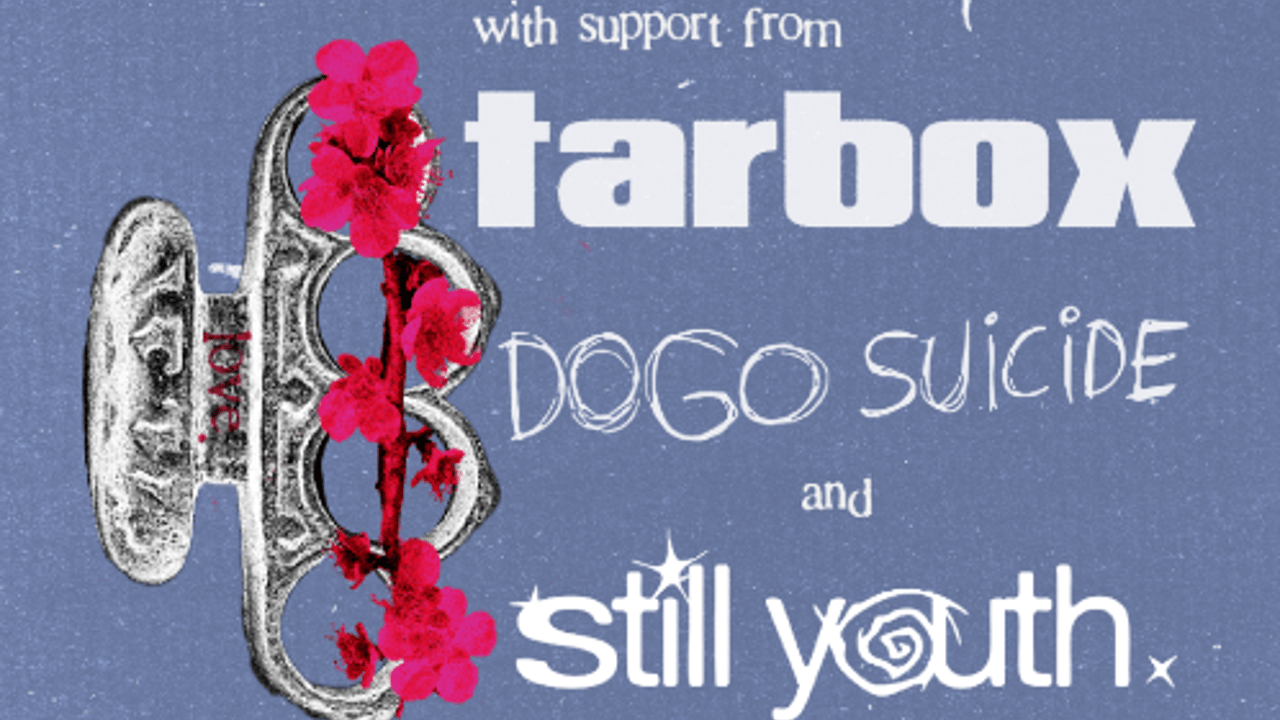 Letdown, Tarbox, Dogo Suicide, Still Youth