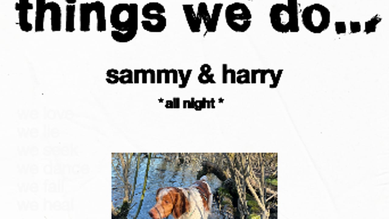 Things we do... w/ Sammy & Harry