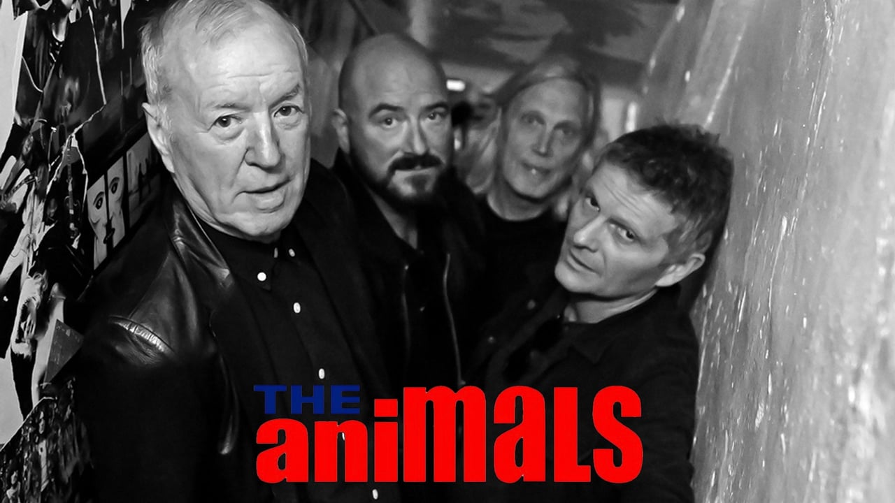 The Animals (UK)—The House of the Rising Sun Tour