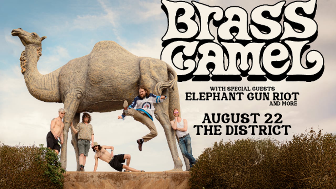 Brass Camel, Elephant Gun Riot