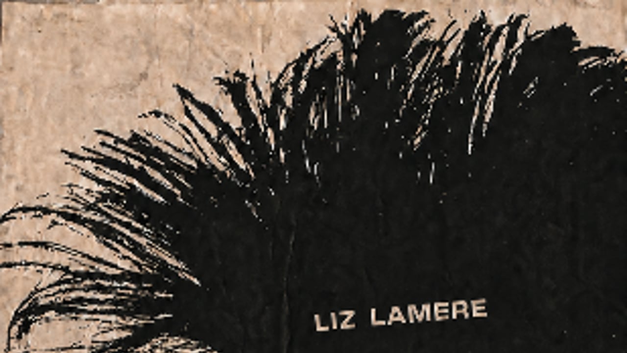 Liz Lamere | Weegee | The Disappearing Act | Female Genius