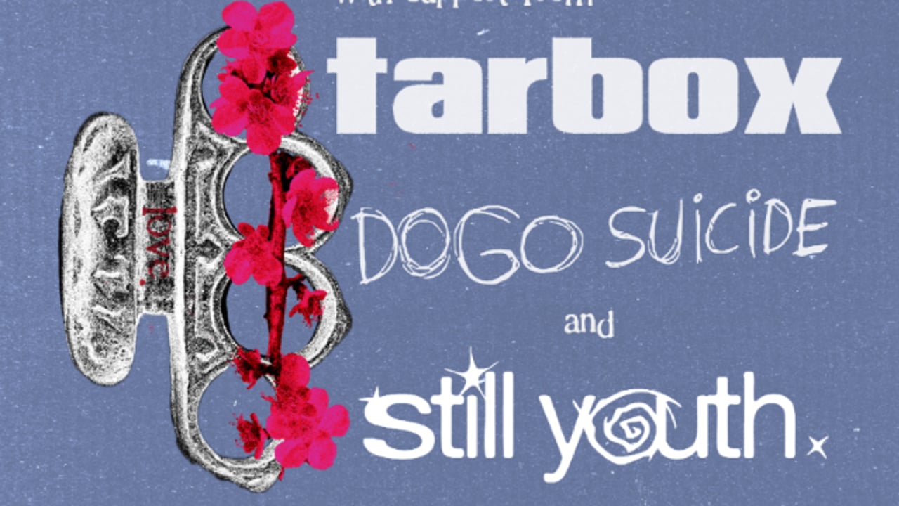 Letdown, Tarbox, Dogo Suicide, Still Youth
