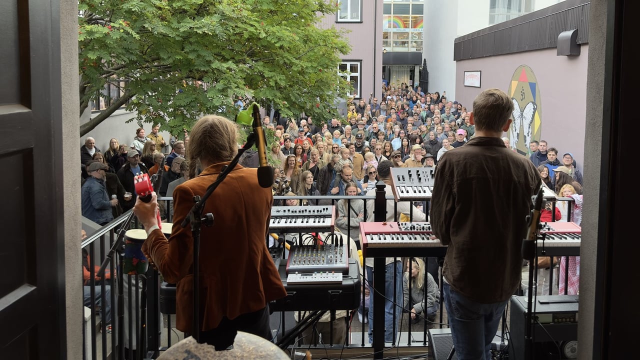 Concerts at Brynjuport