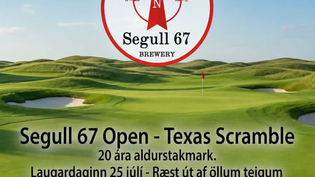 Segull 67 Open