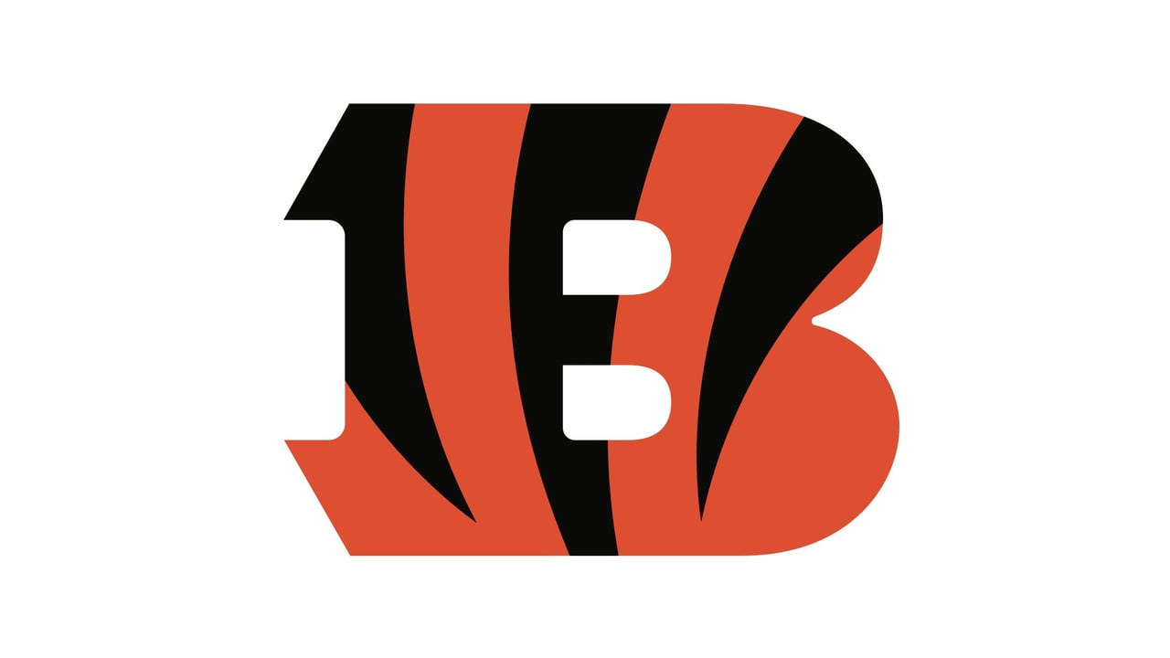 Preseason Game 1: Cincinnati Bengals v Detroit Lions