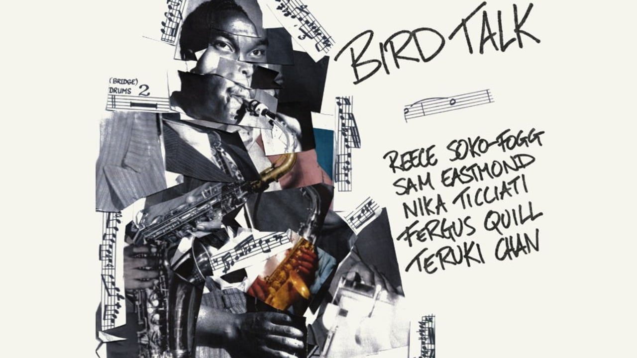 Bird Talk