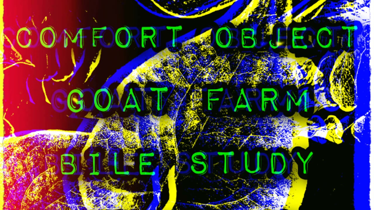 Comfort Object / Goat Farm / Bile Study / Septum Theory
