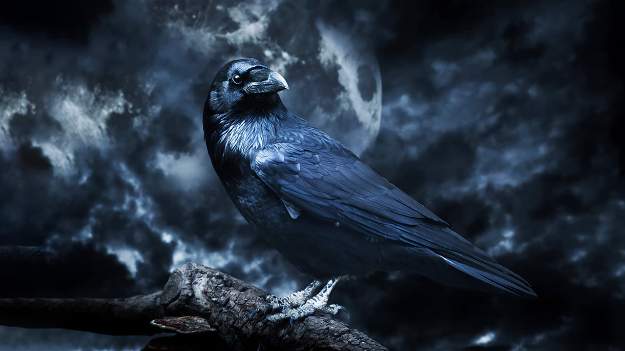 Edgar Allan Poe Speakeasy