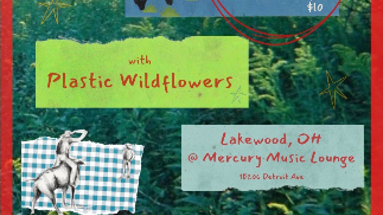 Lillie Gazer W/ Plastic Wildflowers