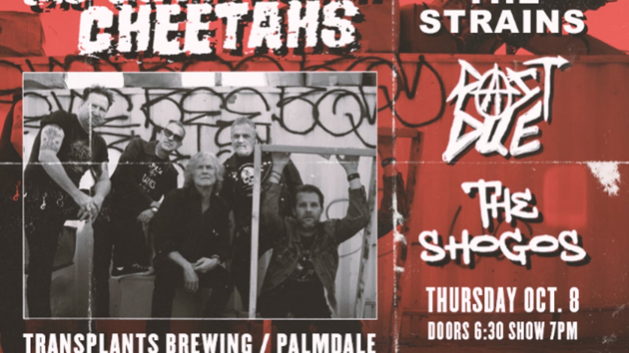 FREE SHOW: THE STREETWALKIN' CHEETAHS / THE STRAINS / PAST DUE / THE SHOGOS