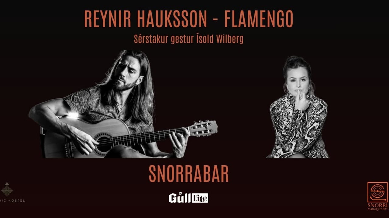 Sumartónar á Snorrabar - Reynir Hauksson Flamengo