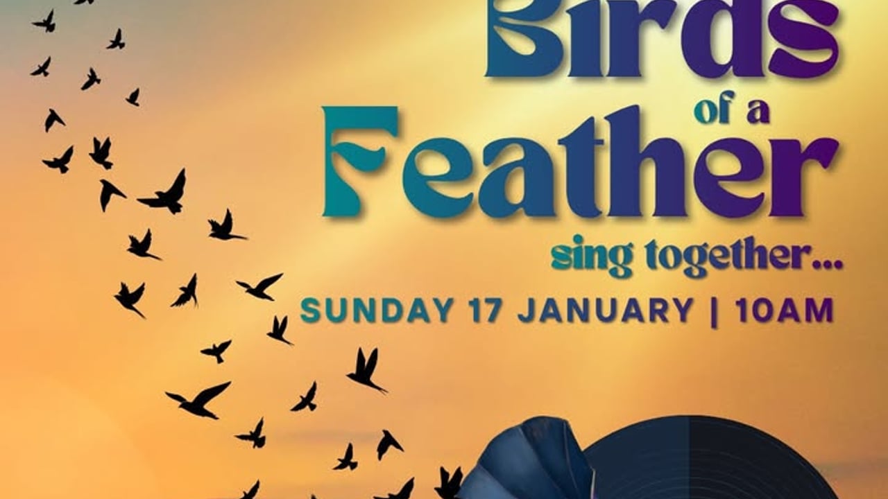 Birds of a Feather - Sing Together