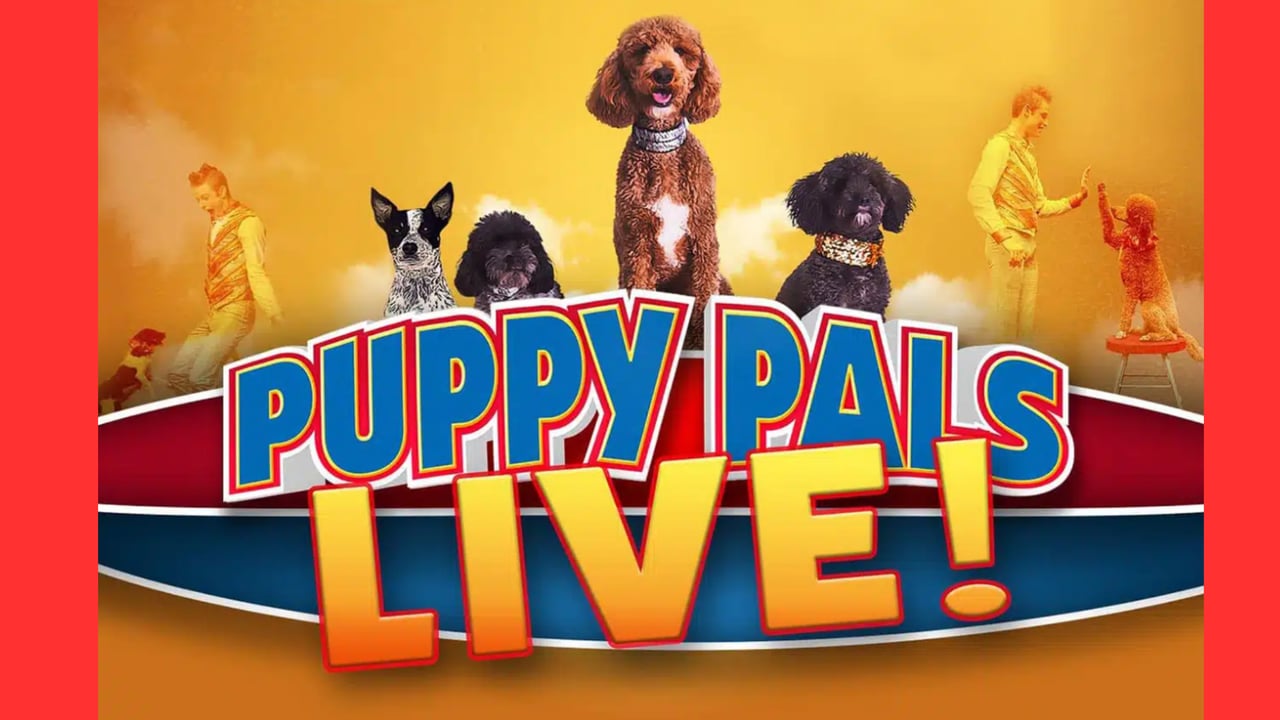 Puppy Pals Live