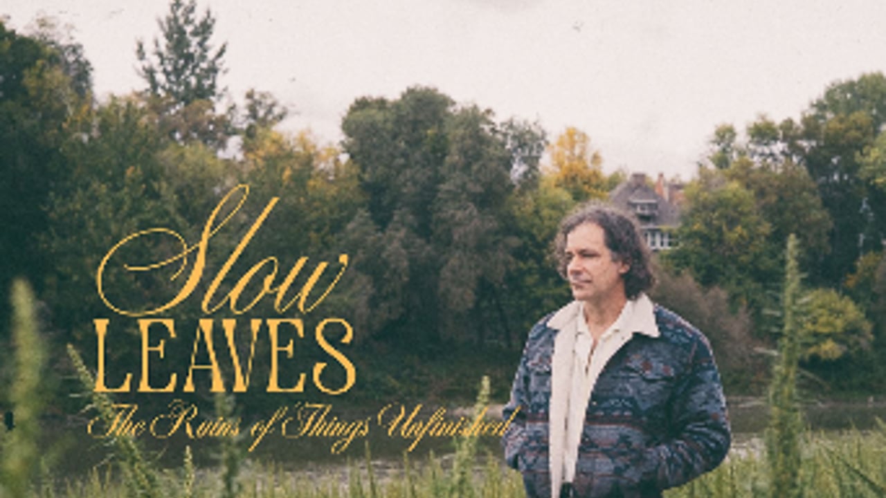 SLOW LEAVES